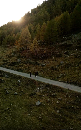 Woods_Run_Still.png